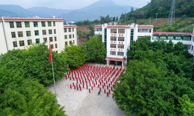 张桂梅事迹的启发与思考作文，张桂梅事迹师德师风心得