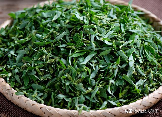 能吃的100种野菜图片莿菜的吃法，能吃的100种野菜图片哈码草图片