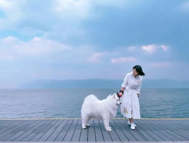 原创自拍达人申请我爱我（自拍达人分享｜手机拍好人像照片的8个要点）