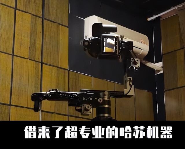 何同学是哪里人（何同学身份）