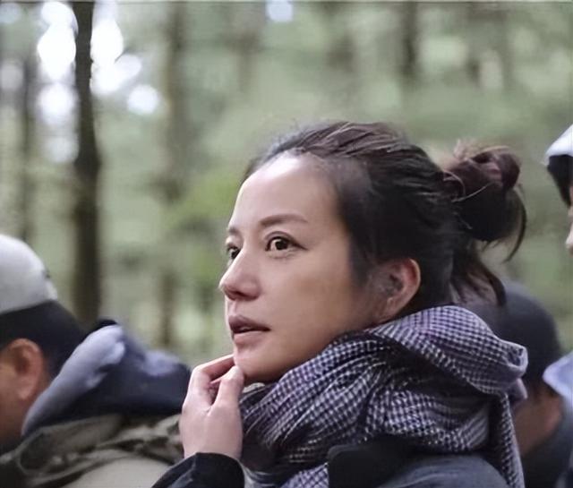 赵薇事件是怎么回事是不是真的（赵薇事件是怎么回事求告知）