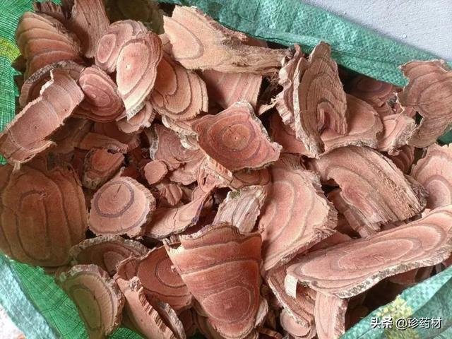 未来5年稀缺中药材地黄（未来5年稀缺中药材湖北省）