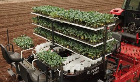 移栽机生产厂家（进口移栽机）