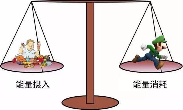 大卡和千焦的换算公式（千焦 大卡 计算器）