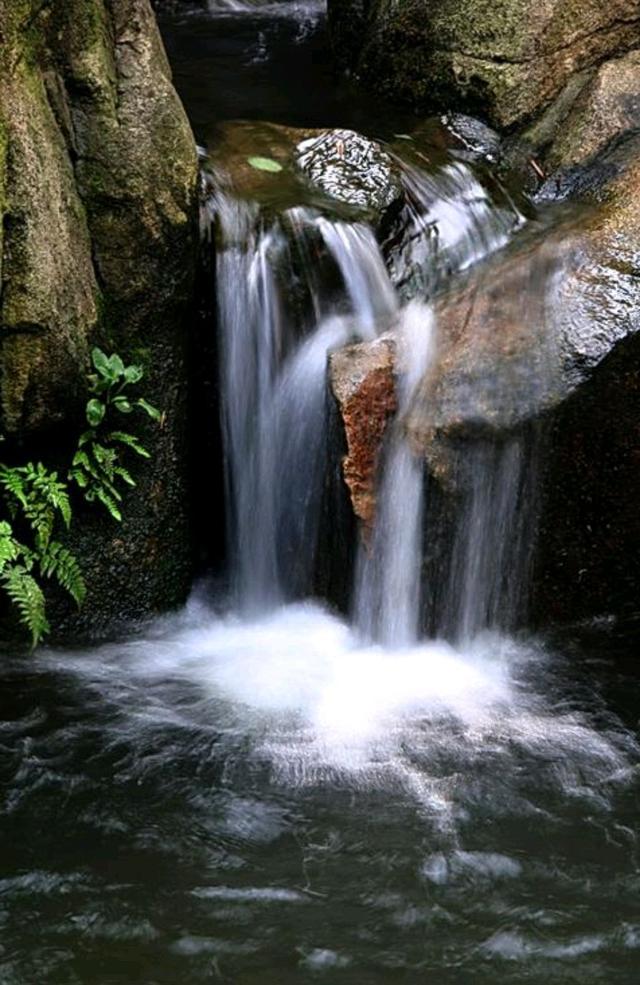 描写心境淡然唯美句子有诗句，描写心境淡然唯美句子 安之若素,淡然若水