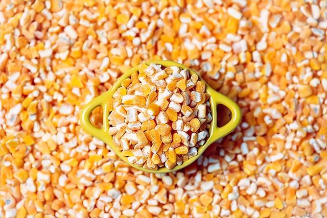 开小型加工厂项目，开个小型加工厂