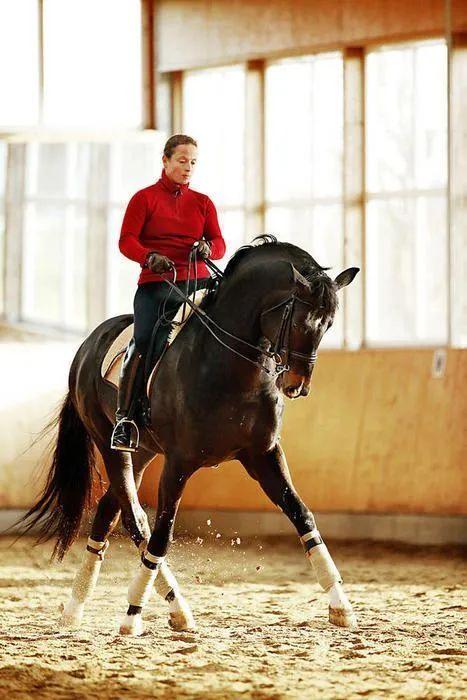 学浪app下载安卓官方版（学浪app下载安装）