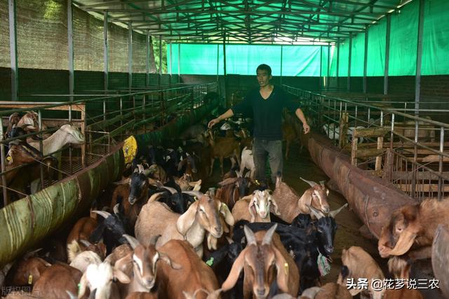 种养殖合作项目属于农业用途吗（种养殖合作项目意义）