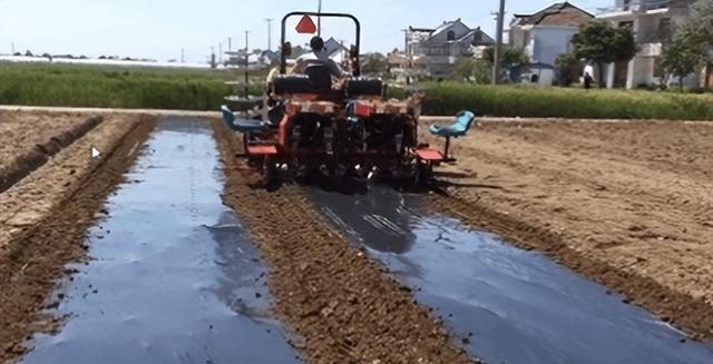 移栽机生产厂家（进口移栽机）