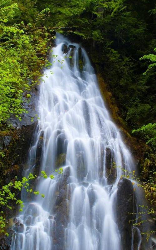 描写心境淡然唯美句子有诗句，描写心境淡然唯美句子 安之若素,淡然若水