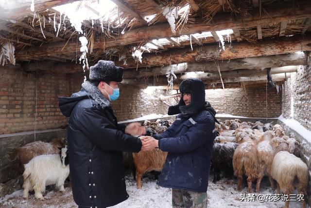 种养殖合作项目属于农业用途吗（种养殖合作项目意义）