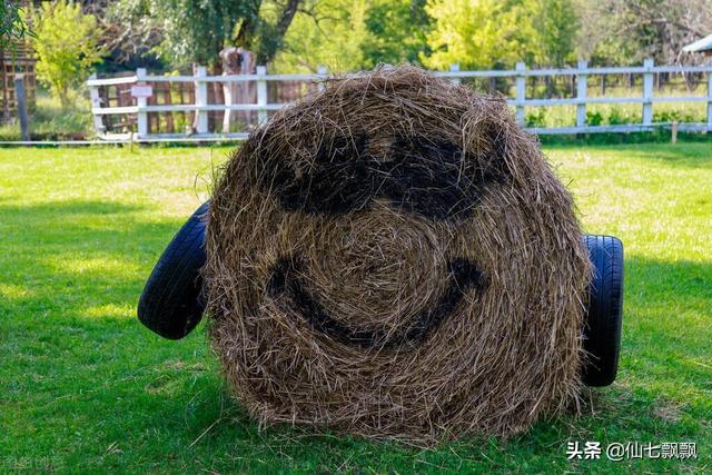 农村搞笑段子剧本（搞笑段子剧本台词）