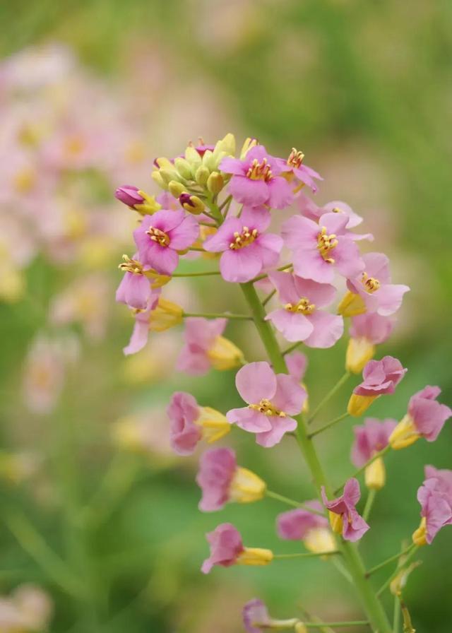 回忆往事的唯美句子摘抄，回忆往事的唯美句子开头