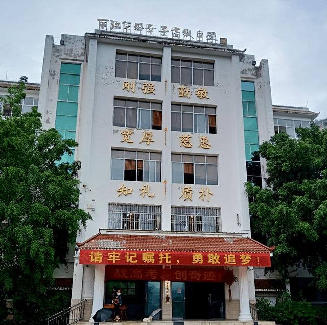 张桂梅事迹的启发与思考作文，张桂梅事迹师德师风心得