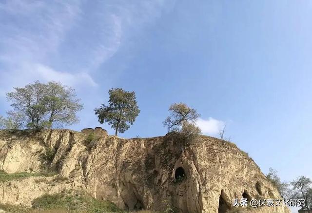 拥有龙族血统的八大姓氏（龙族有几大姓氏）