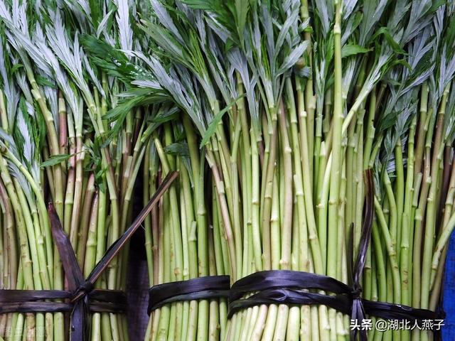 能吃的100种野菜图片莿菜的吃法，能吃的100种野菜图片哈码草图片