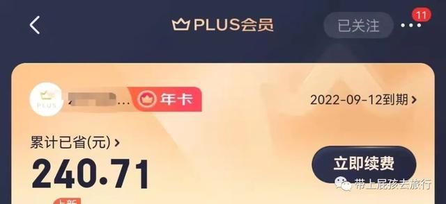plus年卡京东啥意思（PLUS年卡什么意思）