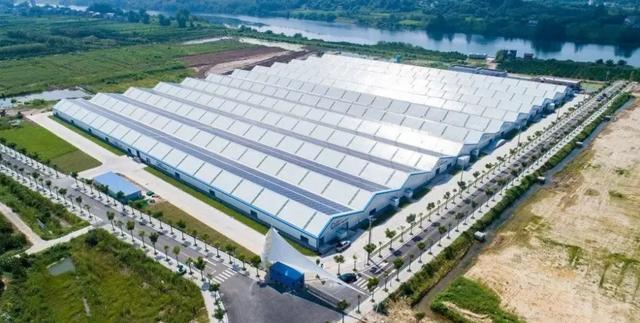 进口鱼子酱多少钱一斤（鲟鱼鱼子酱多少钱一斤）