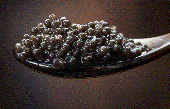 进口鱼子酱多少钱一斤（鲟鱼鱼子酱多少钱一斤）