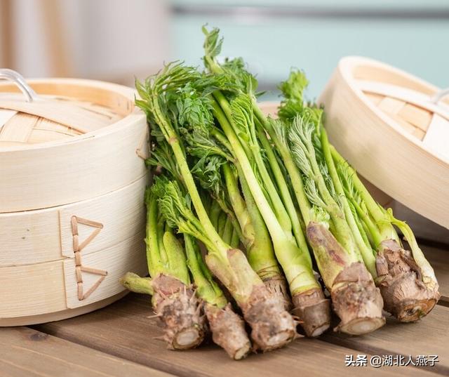 能吃的100种野菜图片莿菜的吃法，能吃的100种野菜图片哈码草图片