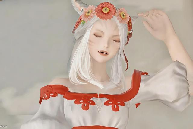 ff14幻化的任务在哪接（ff14幻化在哪里开）