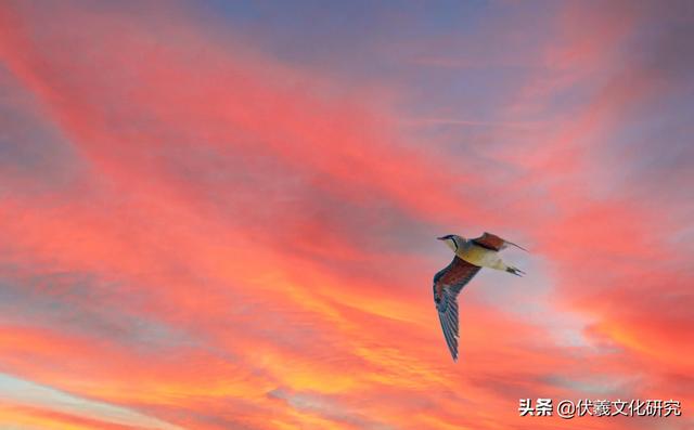 拥有龙族血统的八大姓氏（龙族有几大姓氏）