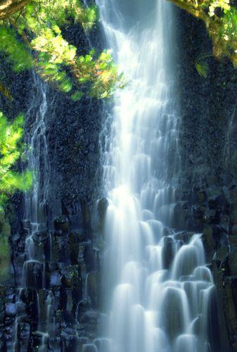 描写心境淡然唯美句子有诗句，描写心境淡然唯美句子 安之若素,淡然若水