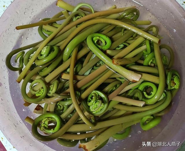 能吃的100种野菜图片莿菜的吃法，能吃的100种野菜图片哈码草图片