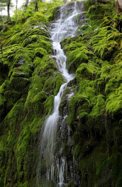 描写心境淡然唯美句子有诗句，描写心境淡然唯美句子 安之若素,淡然若水