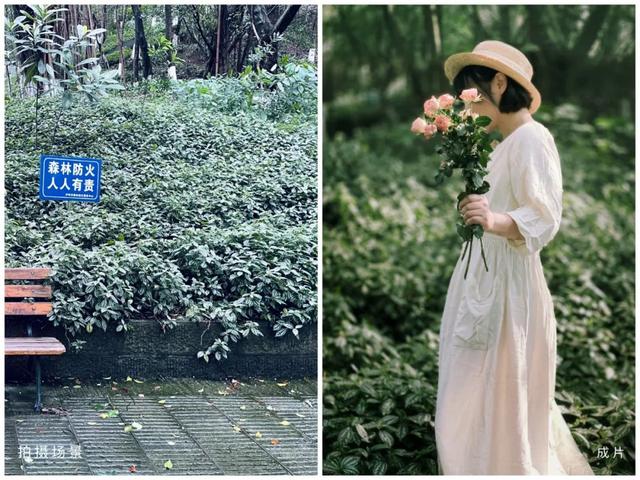 原创自拍达人申请我爱我（自拍达人分享｜手机拍好人像照片的8个要点）