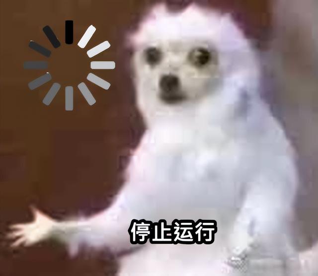 B站最开始站最早的视频（B站最开始）