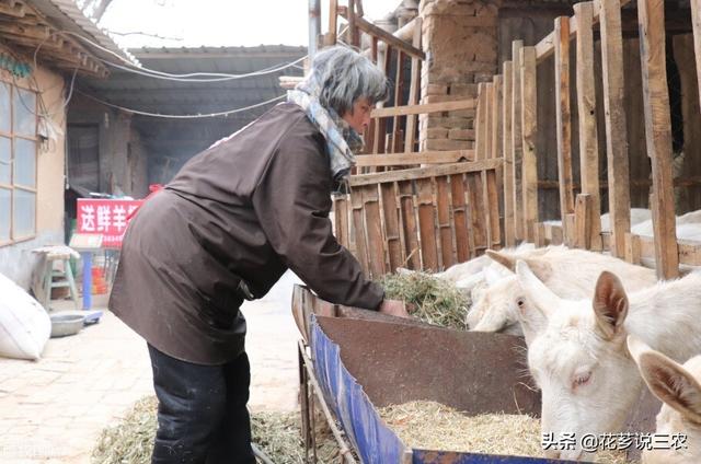 种养殖合作项目属于农业用途吗（种养殖合作项目意义）