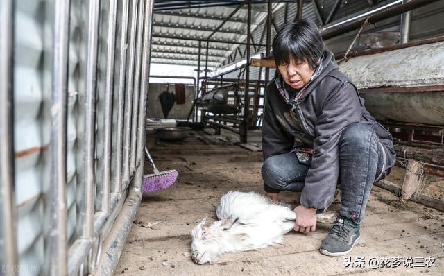 种养殖合作项目属于农业用途吗（种养殖合作项目意义）