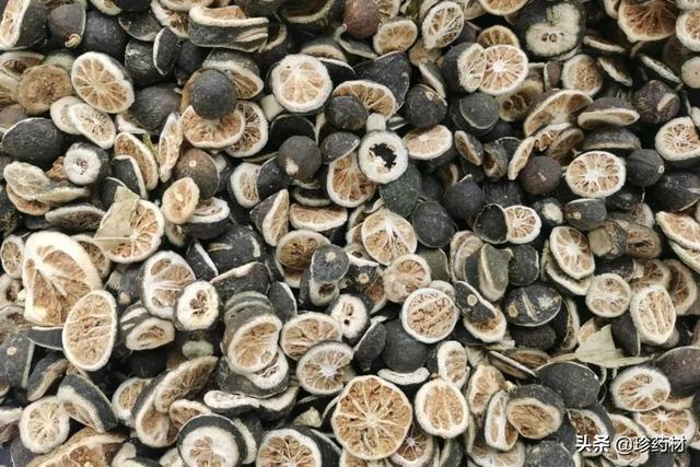 未来5年稀缺中药材地黄（未来5年稀缺中药材湖北省）