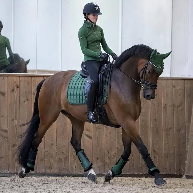 学浪app下载安卓官方版（学浪app下载安装）