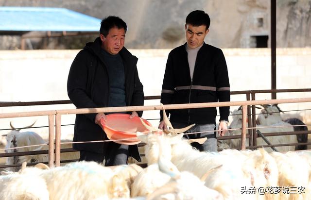 种养殖合作项目属于农业用途吗（种养殖合作项目意义）