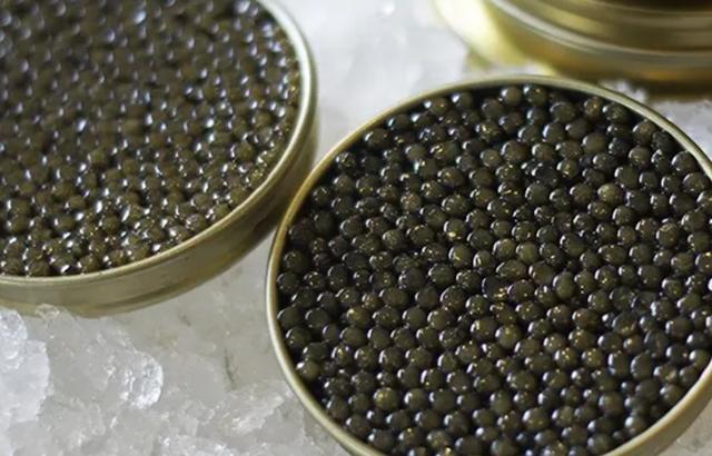 进口鱼子酱多少钱一斤（鲟鱼鱼子酱多少钱一斤）