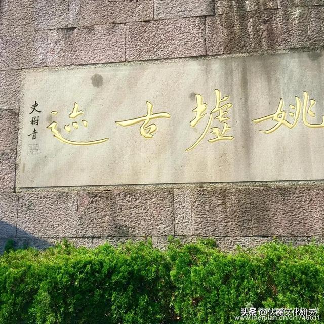 拥有龙族血统的八大姓氏（龙族有几大姓氏）