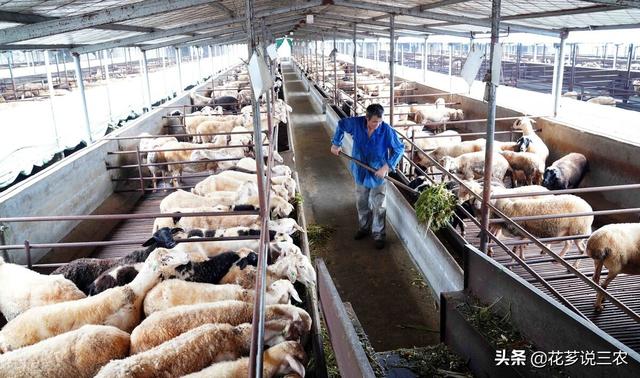 种养殖合作项目属于农业用途吗（种养殖合作项目意义）