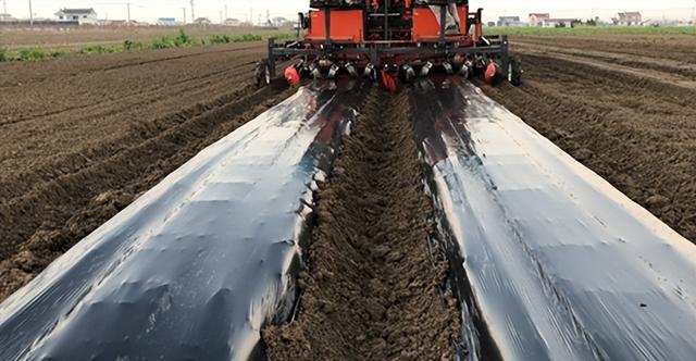 移栽机生产厂家（进口移栽机）