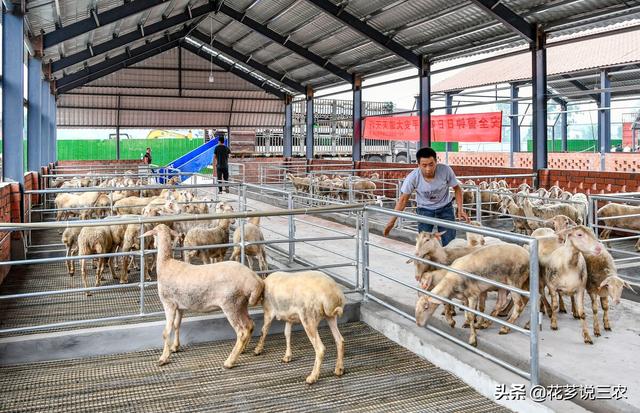 种养殖合作项目属于农业用途吗（种养殖合作项目意义）