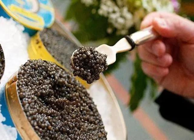 进口鱼子酱多少钱一斤（鲟鱼鱼子酱多少钱一斤）