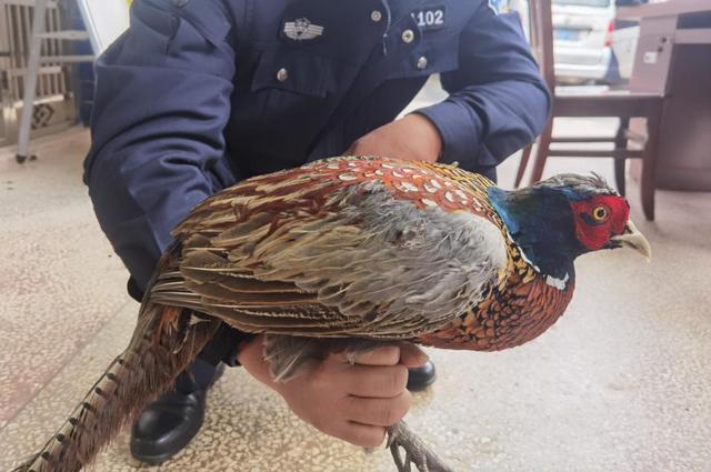 快速赚1000万的方法（赚钱方法千千万）