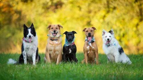 能让你发财的七个暴利小生意