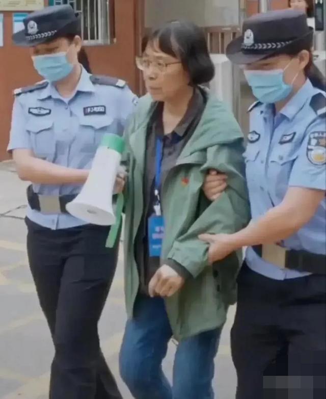 张桂梅事迹的启发与思考作文，张桂梅事迹师德师风心得