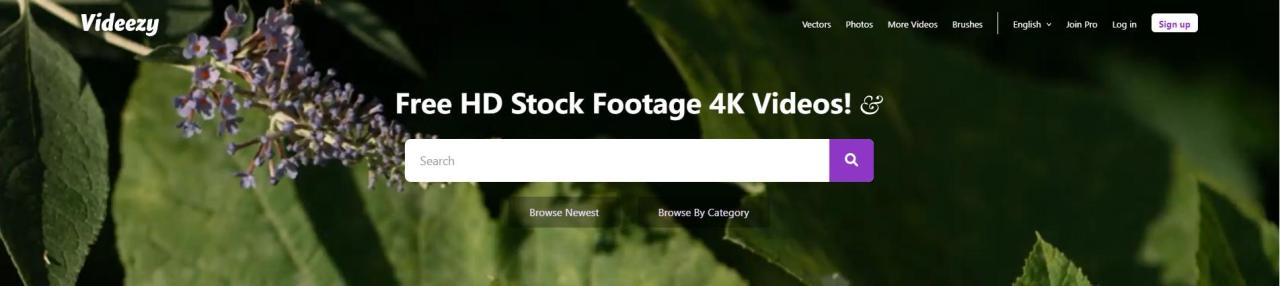 0s视频网站素材网（80S视频素材）"