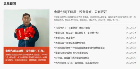 搜索引擎营销经典案例有哪些,搜索引擎营销经典案例一个村庄与世界的互联