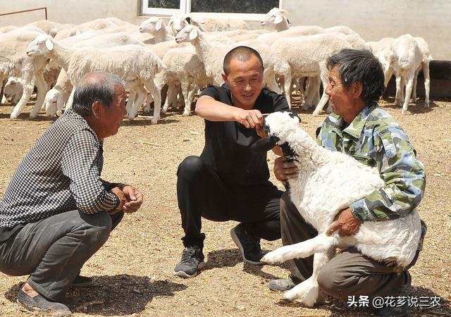 种养殖合作项目属于农业用途吗（种养殖合作项目意义）