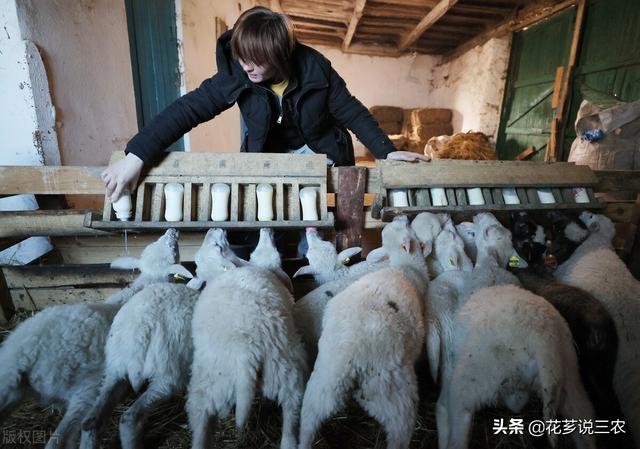 种养殖合作项目属于农业用途吗（种养殖合作项目意义）