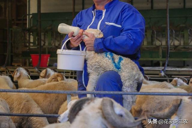 种养殖合作项目属于农业用途吗（种养殖合作项目意义）